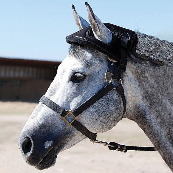 cashel Other - Cashel head bumper horse safety trailering showing
